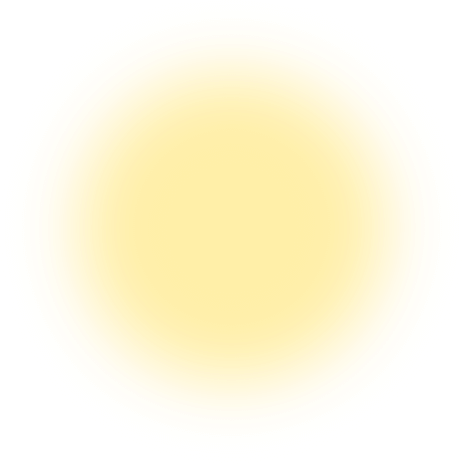 Flash Light